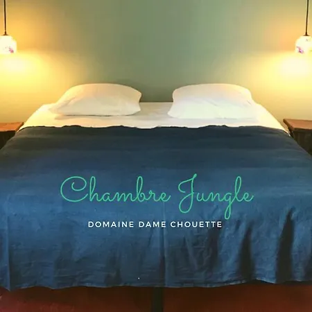Bed and Breakfast DameChouette à Pujols  Extérieur photo