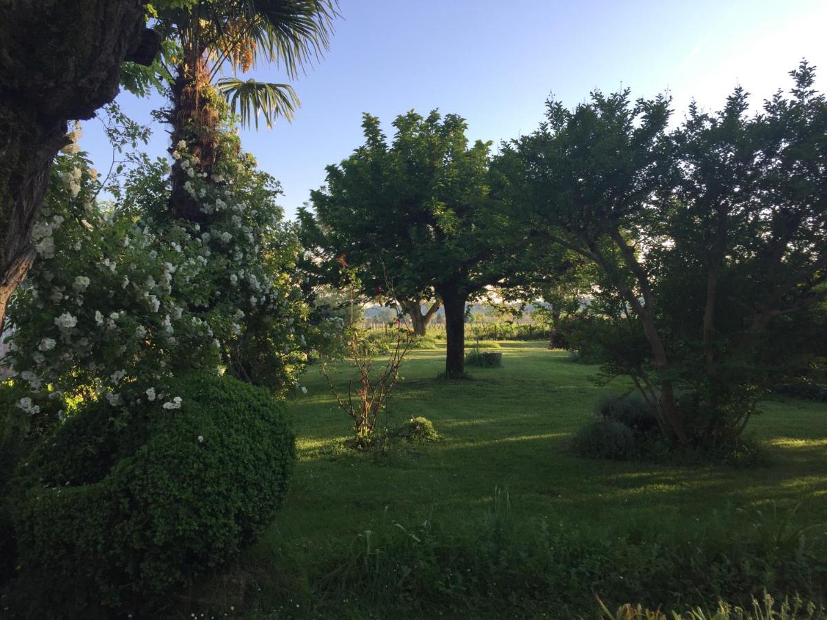 Bed & Breakfast Damechouette Pujols (Lot-et-Garonne)