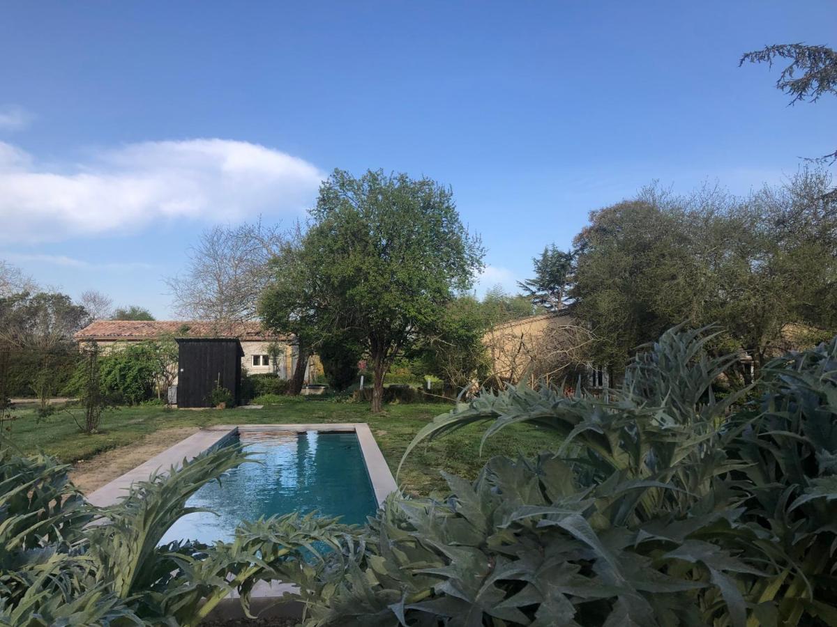 Damechouette * Pujols (Lot-et-Garonne)